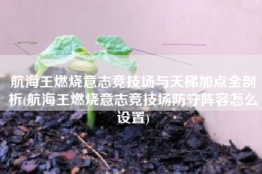 航海王燃烧意志竞技场与天梯加点全剖析(航海王燃烧意志竞技场防守阵容怎么设置)
