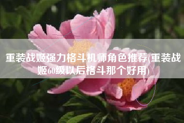 重装战姬强力格斗机师角色推荐(重装战姬60级以后格斗那个好用)