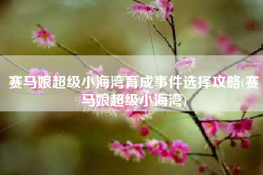赛马娘超级小海湾育成事件选择攻略(赛马娘超级小海湾)