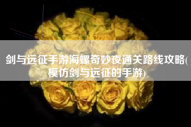 剑与远征手游海螺奇妙夜通关路线攻略(模仿剑与远征的手游)