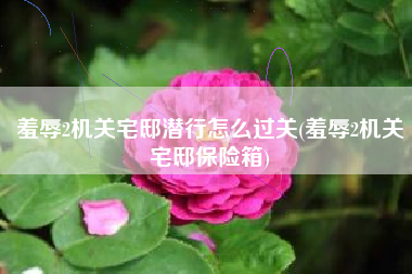 羞辱2机关宅邸潜行怎么过关(羞辱2机关宅邸保险箱)