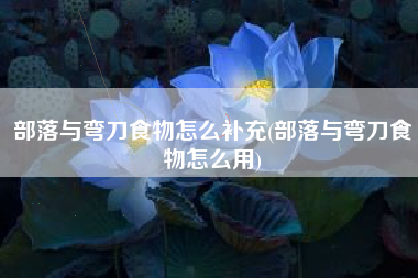 部落与弯刀食物怎么补充(部落与弯刀食物怎么用)