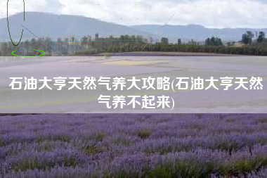 石油大亨天然气养大攻略(石油大亨天然气养不起来)