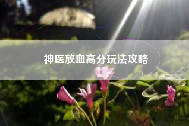 神医放血高分玩法攻略