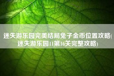 迷失游乐园完美结局兔子金币位置攻略(迷失游乐园11第16关完整攻略)
