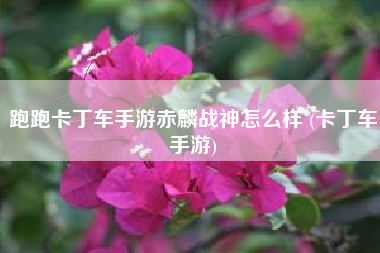 跑跑卡丁车手游赤麟战神怎么样 (卡丁车手游)
