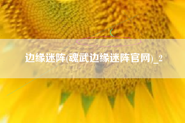 边缘迷阵(魂武边缘迷阵官网)_2