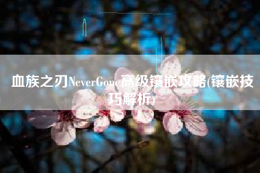 血族之刃NeverGone高级镶嵌攻略(镶嵌技巧解析)