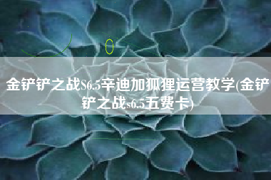 金铲铲之战S6.5辛迪加狐狸运营教学(金铲铲之战s6.5五费卡)