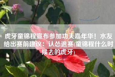 虎牙童锦程宣布参加功夫嘉年华！水友给出赛前建议：认怂退赛(童锦程什么时候去的虎牙)