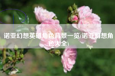 诺亚幻想英雄角色背景一览(诺亚幻想角色大全)