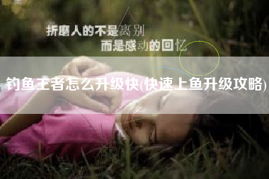 钓鱼王者怎么升级快(快速上鱼升级攻略)
