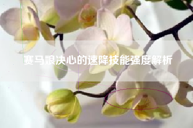 赛马娘决心的速降技能强度解析