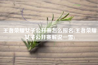 王者荣耀女子公开赛怎么报名(王者荣耀女子公开赛解说一雪)