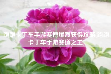跑跑卡丁车手游赛博爆烈获得攻略(跑跑卡丁车手游赛道之王)