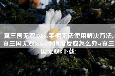 真三国无双8Xbox手柄无法使用解决方法,真三国无双8xbox手柄没反应怎么办-(真三国无双8下载)