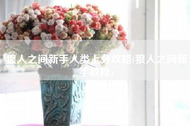 狼人之间新手人类上分攻略(狼人之间新手教程)