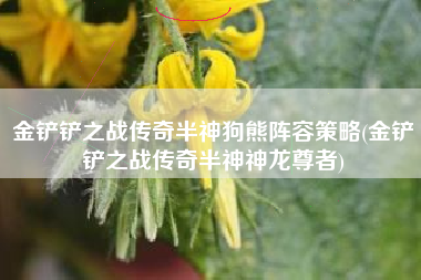 金铲铲之战传奇半神狗熊阵容策略(金铲铲之战传奇半神神龙尊者)