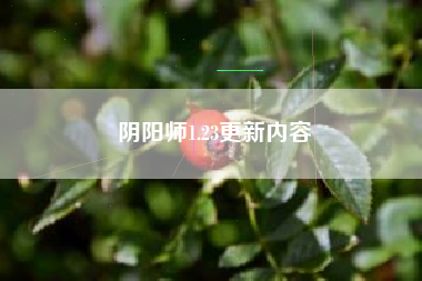 阴阳师1.23更新内容