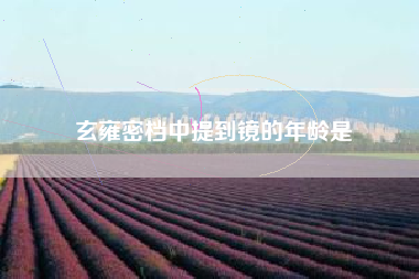 玄雍密档中提到镜的年龄是