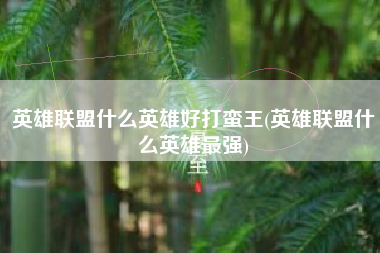英雄联盟什么英雄好打蛮王(英雄联盟什么英雄最强)