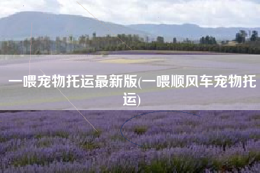 一喂宠物托运最新版(一喂顺风车宠物托运)