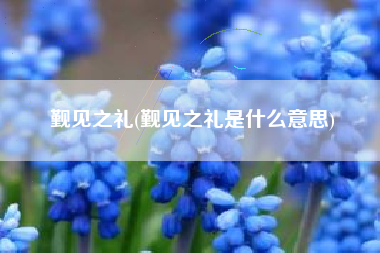 觐见之礼(觐见之礼是什么意思)