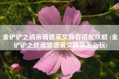 金铲铲之战帝骑德莱文阵容搭配攻略 (金铲铲之战帝骑德莱文阵容怎么玩)