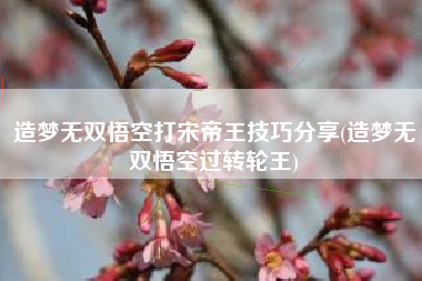 造梦无双悟空打宋帝王技巧分享(造梦无双悟空过转轮王)