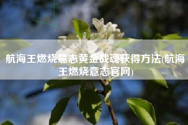 航海王燃烧意志黄金战魂获得方法(航海王燃烧意志官网)