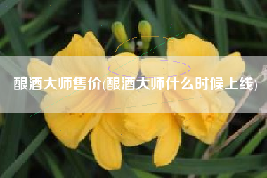 酿酒大师售价(酿酒大师什么时候上线)
