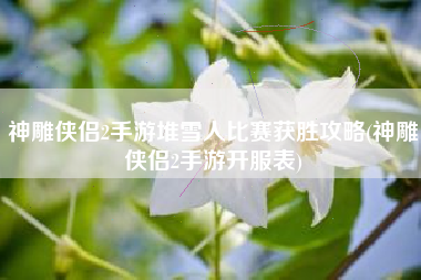 神雕侠侣2手游堆雪人比赛获胜攻略(神雕侠侣2手游开服表)