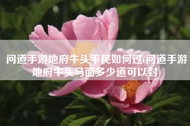 问道手游地府牛头平民如何过(问道手游地府牛头马面多少道可以封)