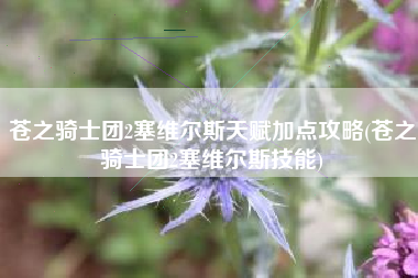 苍之骑士团2塞维尔斯天赋加点攻略(苍之骑士团2塞维尔斯技能)