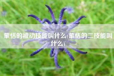 蒙恬的被动技能叫什么(蒙恬的二技能叫什么)