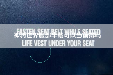 神骑世界服部半藏可以当前排吗