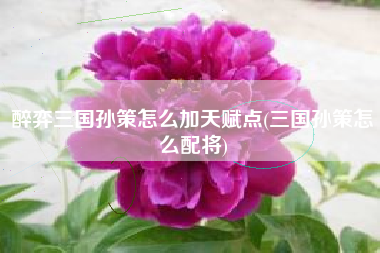 醉弈三国孙策怎么加天赋点(三国孙策怎么配将)