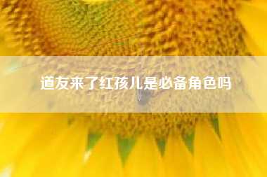 道友来了红孩儿是必备角色吗
