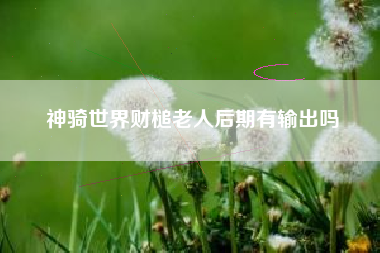 神骑世界财槌老人后期有输出吗