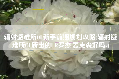 辐射避难所OL新手前期规划攻略(辐射避难所OL新出的UR罗杰.麦克森好吗-)