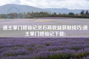 道王掌门修仙记灵石高收益获取技巧(道王掌门修仙记下载)