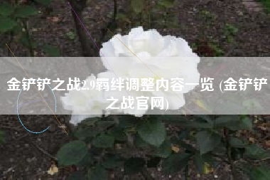 金铲铲之战2.9羁绊调整内容一览 (金铲铲之战官网)