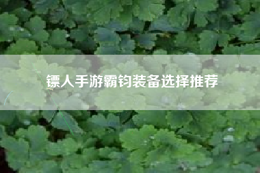 镖人手游霸钧装备选择推荐
