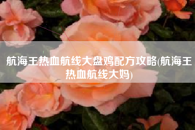 航海王热血航线大盘鸡配方攻略(航海王热血航线大妈)