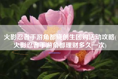 火影忍者手游角都晓创生团购活动攻略(火影忍者手游角都理财多久一次)