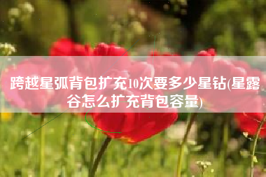 跨越星弧背包扩充10次要多少星钻(星露谷怎么扩充背包容量)