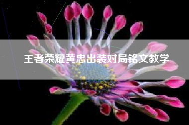王者荣耀黄忠出装对局铭文教学