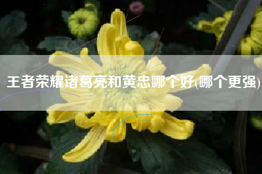 王者荣耀诸葛亮和黄忠哪个好(哪个更强)