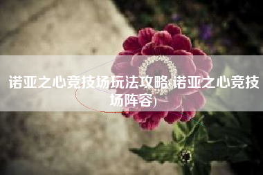 诺亚之心竞技场玩法攻略(诺亚之心竞技场阵容)