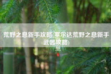 荒野之息新手攻略(塞尔达荒野之息新手武器攻略)